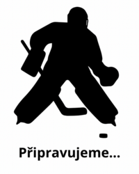 Odin Midgard 2 Goalie